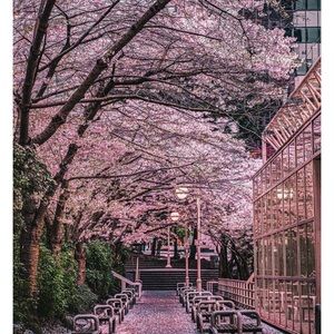 Meet your Posher, Sophie